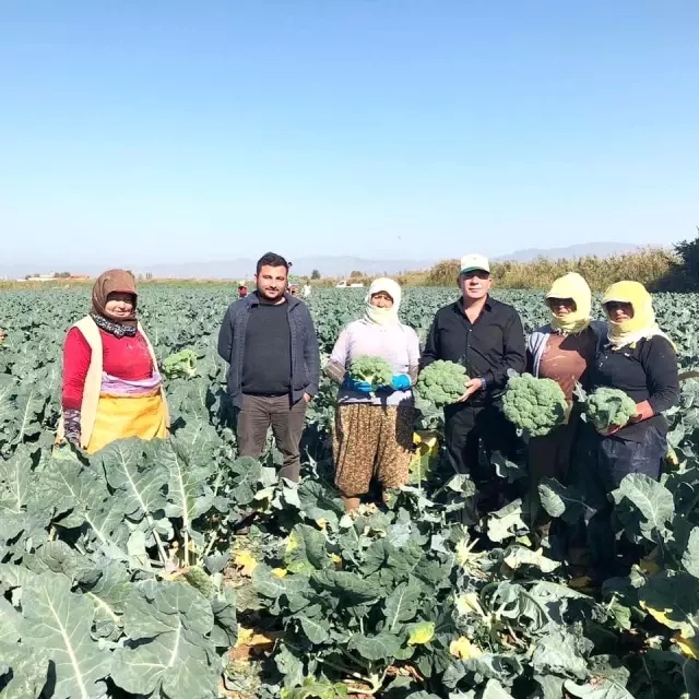 Çiftçinin beklediği faiz indirimi açıklandı Çiftçinin beklediği faiz indirimi açıklandı