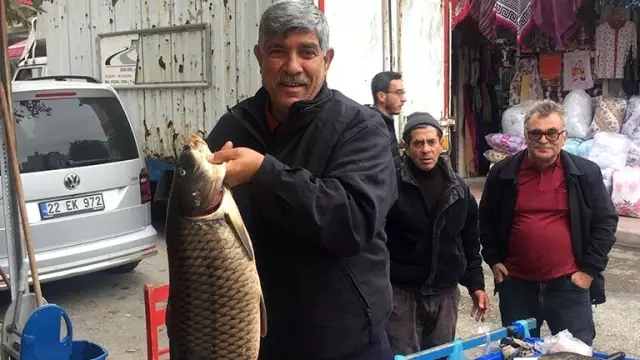 Hamzadere'den gelen derya kuzuları ilgi odağı oldu Hamzadere'den gelen derya kuzuları ilgi odağı oldu
