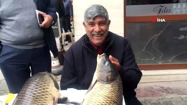 Hamzadere'den gelen sazanlar ilgi odağı oldu Hamzadere'den gelen sazanlar ilgi odağı oldu