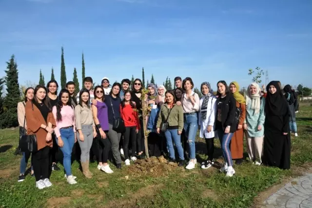 Her çınar fidanı 'kadınlar yaşasın' diye