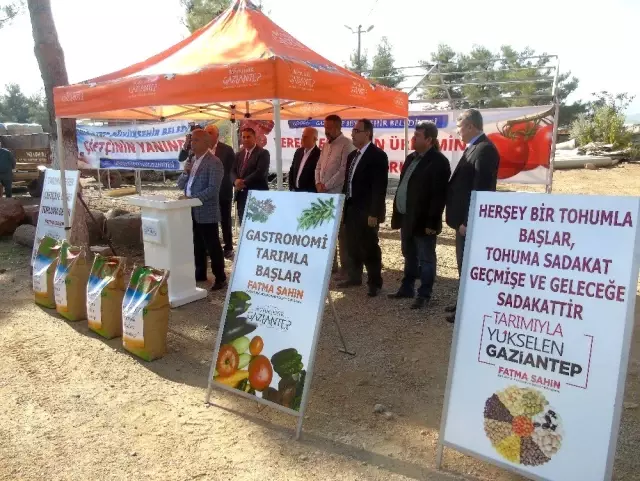 İslahiye'de 160 çiftçiye tohum dağıtıldı İslahiye'de 160 çiftçiye tohum dağıtıldı