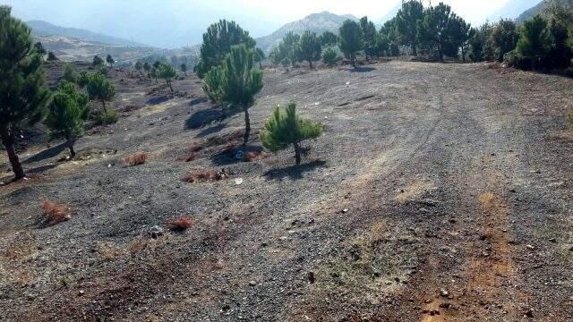 Kahramanmaraş'ta dedikodu cinayeti! Eşi hakkında dedikodu yapan kişiyi döverek öldürdü