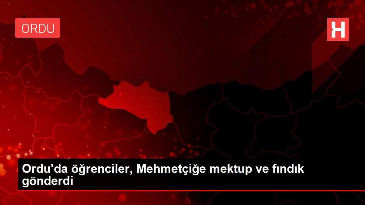 Ordu'da öğrenciler, Mehmetçiğe mektup ve fındık gönderdi