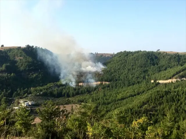 Osmaniye'de çıkan orman yangınında 3 hektar alan zarar gördü