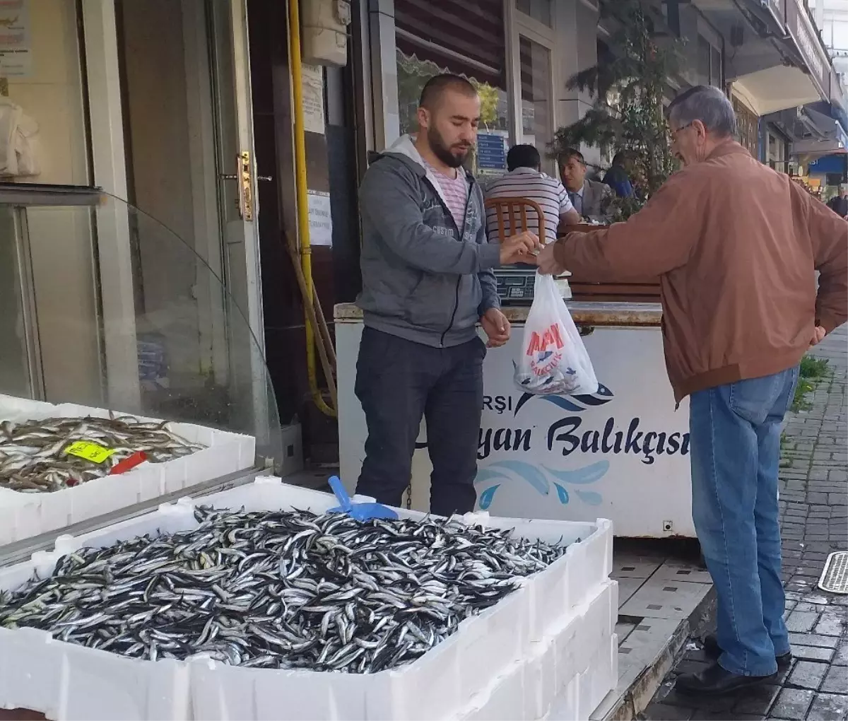 (Özel) Hamsi fiyatı Karadeniz'de 7 TL'ye düştü