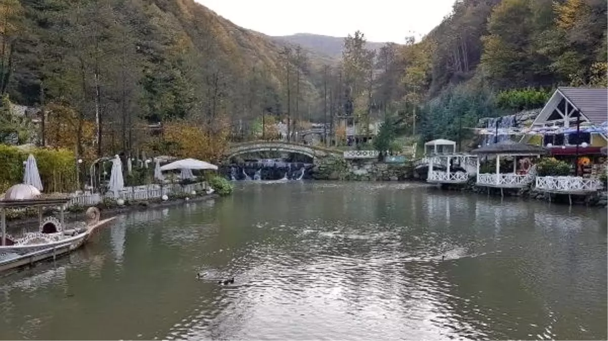 Sapanca'da hayvanların kafeste tutulduğu iddiası