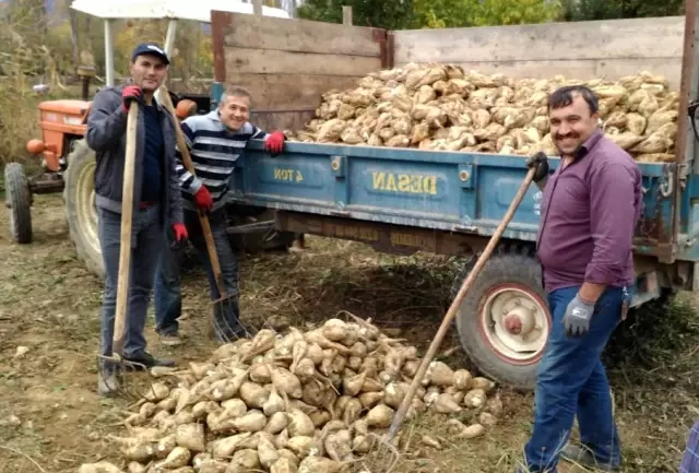 Simav'da şeker pancarı üretimi durma noktasına geldi