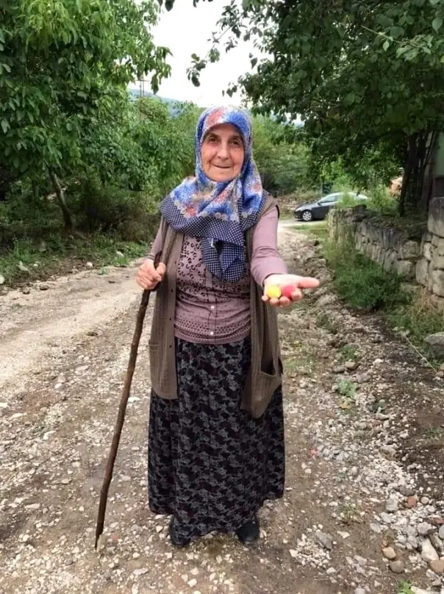 Yolcu minibüsünün çarptığı yaşlı kadının kimliği belli oldu