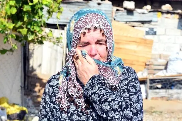 Adana'da 40 koyunu çalınan Ayşe Teyze, hırsızlara yalvardı: Ne olur koyunlarımızı geri getirin
