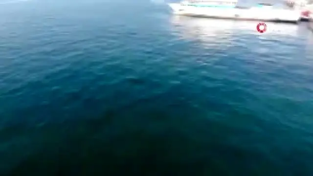 Adalar'da yaşayanlar için deniz ambulansları 24 saat teyakkuzda Adalar'da yaşayanlar için deniz ambulansları 24 saat teyakkuzda