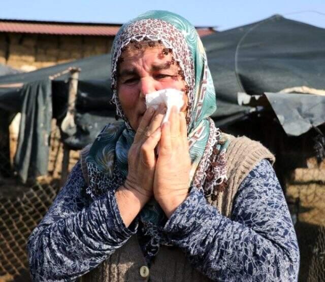 Adana'da 40 koyunu çalınan Ayşe Teyze, hırsızlara yalvardı: Ne olur koyunlarımızı geri getirin