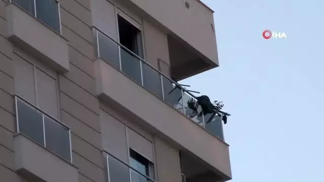 Antalya'da dört kişilik aile evde ölü bulundu... Ailenin ölümünde siyanür iddiası Antalya'da dört kişilik aile evde ölü bulundu... Ailenin ölümünde siyanür iddiası