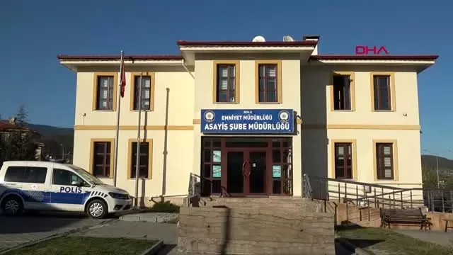 Bolu'yu ayağa kaldıran kedi ölümlerini cinayet büro çözdü Bolu'yu ayağa kaldıran kedi ölümlerini cinayet büro çözdü