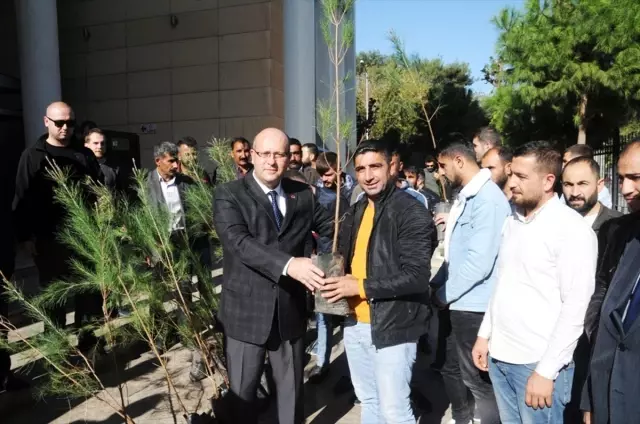 Cizre'de denetimli serbestlik yükümlülerine 250 fidan dağıtıldı Cizre'de denetimli serbestlik yükümlülerine 250 fidan dağıtıldı