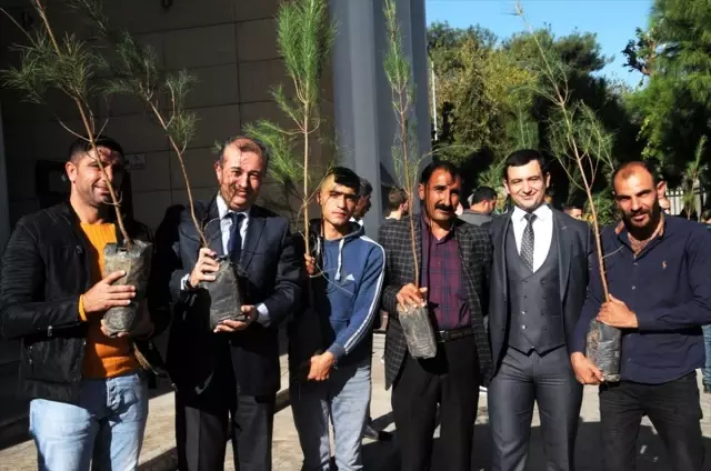 Cizre'de denetimli serbestlik yükümlülerine 250 fidan dağıtıldı Cizre'de denetimli serbestlik yükümlülerine 250 fidan dağıtıldı