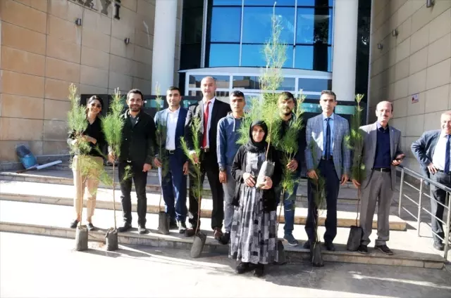 Cizre'de denetimli serbestlik yükümlülerine 250 fidan dağıtıldı Cizre'de denetimli serbestlik yükümlülerine 250 fidan dağıtıldı