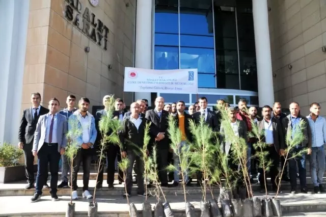Cizre denetimli serbestlik yükümlülerine 250 fidan dağıtıldı Cizre denetimli serbestlik yükümlülerine 250 fidan dağıtıldı
