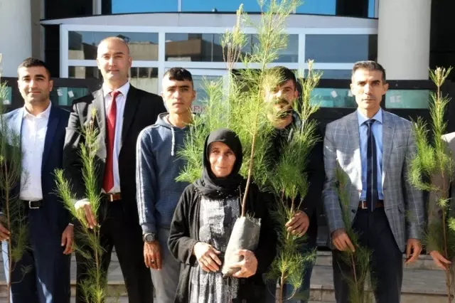 Cizre denetimli serbestlik yükümlülerine 250 fidan dağıtıldı Cizre denetimli serbestlik yükümlülerine 250 fidan dağıtıldı