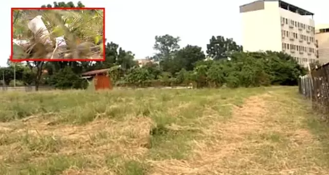 Çöpte köpekler tarafından parçalanmış bebek cesedi bulundu