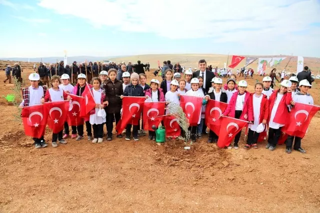 Fadıloğlu'dan fidan dikimi daveti Fadıloğlu'dan fidan dikimi daveti