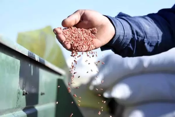 Konya Ovası'nda, ekim sezonu kuraklık alarmı