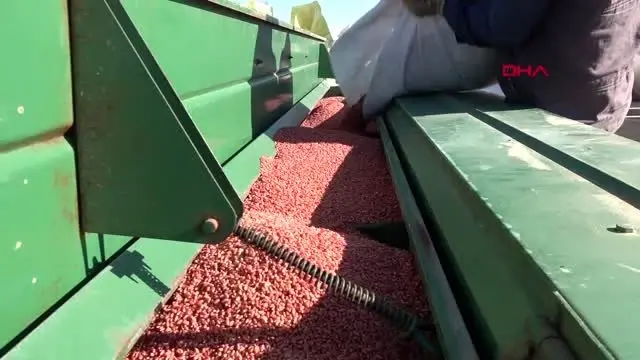 Konya ovası'nda, ekim sezonu kuraklık alarmı Konya ovası'nda, ekim sezonu kuraklık alarmı