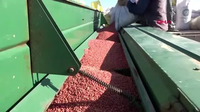 Konya ovası'nda, ekim sezonu kuraklık alarmı Konya ovası'nda, ekim sezonu kuraklık alarmı