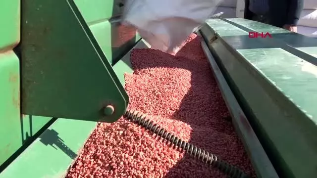 Konya ovası'nda, ekim sezonu kuraklık alarmı Konya ovası'nda, ekim sezonu kuraklık alarmı