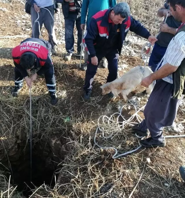 Kuyuya düşen oğlak kurtarıldı