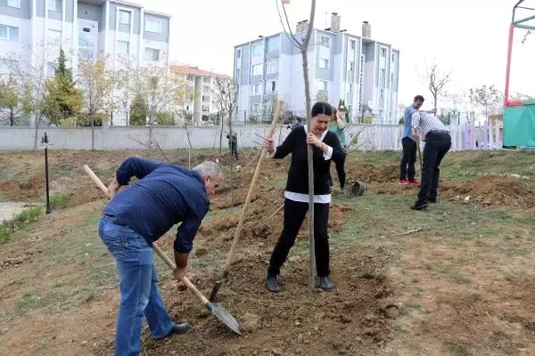 Lise arkadaşları, 33 yıl sonra fidan dikmek için bir araya geldi Lise arkadaşları, 33 yıl sonra fidan dikmek için bir araya geldi