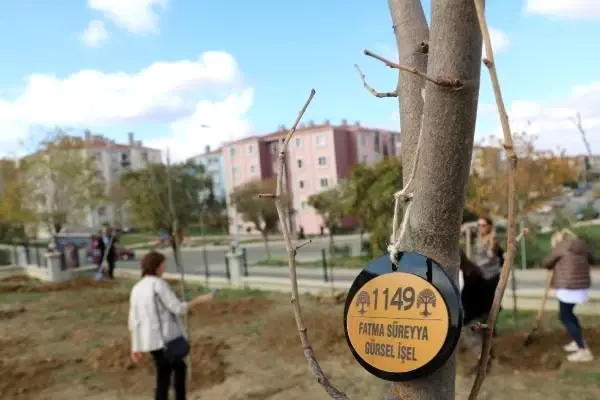 Lise arkadaşları, 33 yıl sonra fidan dikmek için bir araya geldi Lise arkadaşları, 33 yıl sonra fidan dikmek için bir araya geldi