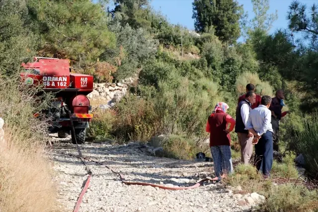 Muğla'da orman yangını