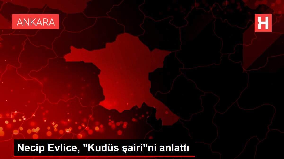 Necip Evlice,