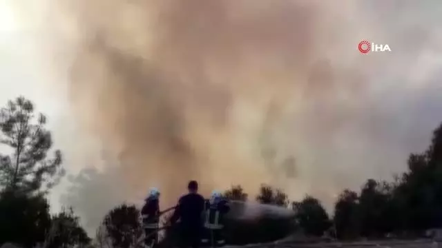 Seydikemer'de anız yangını ormana sıçradı Seydikemer'de anız yangını ormana sıçradı