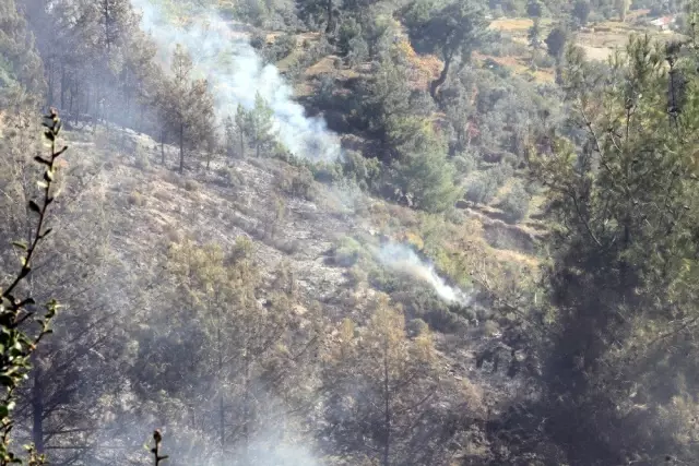 Seydikemer'de anız yangını ormana sıçradı Seydikemer'de anız yangını ormana sıçradı