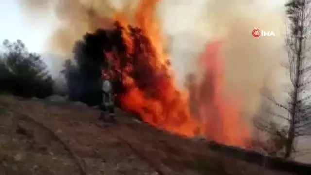 Seydikemer'de anız yangını ormana sıçradı Seydikemer'de anız yangını ormana sıçradı