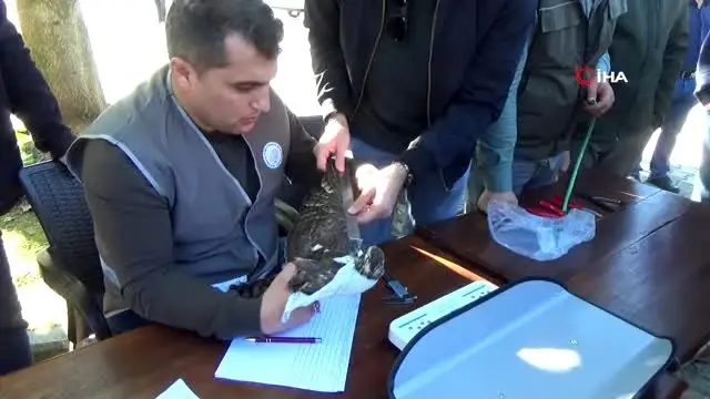 Sezon sona erdi, atmacalar tulum eşliğinde özgürlüğe kanat çırptı Sezon sona erdi, atmacalar tulum eşliğinde özgürlüğe kanat çırptı