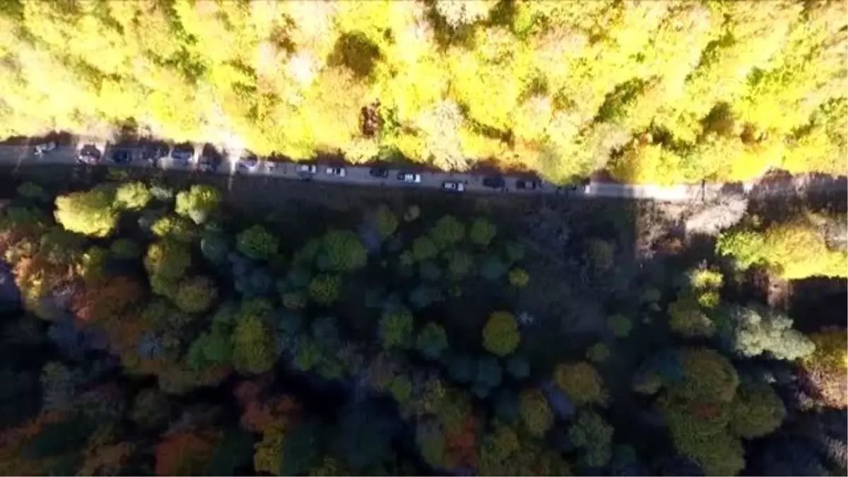 'Tabiatın kalbi' renk cümbüşüyle büyülüyor