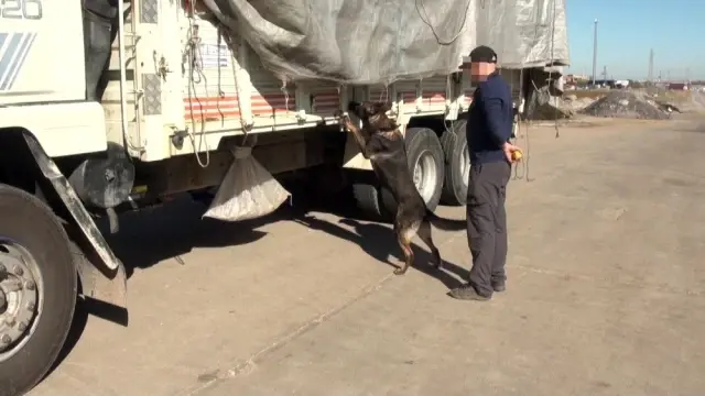 Terörün finans kaynağına büyük darbe, kullanıma hazır 489 kilogram esrar ele geçirildi Terörün finans kaynağına büyük darbe, kullanıma hazır 489 kilogram esrar ele geçirildi