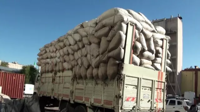 Terörün finans kaynağına büyük darbe, kullanıma hazır 489 kilogram esrar ele geçirildi Terörün finans kaynağına büyük darbe, kullanıma hazır 489 kilogram esrar ele geçirildi