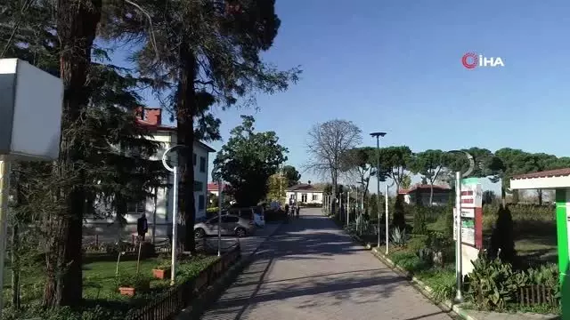 Türkiye'nin fidanları Samsun'dan