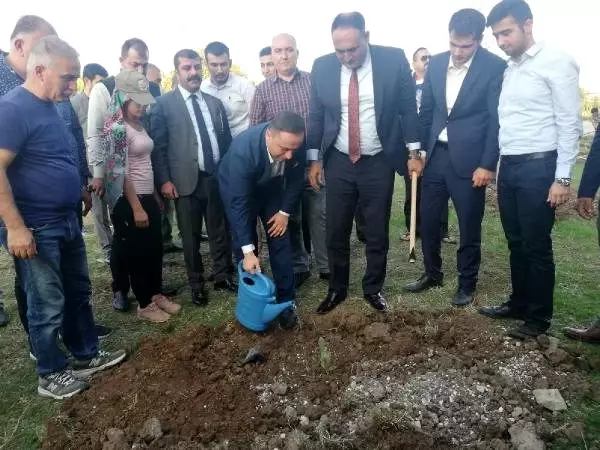81'nci yıl anısına 81 fidan diktiler 81'nci yıl anısına 81 fidan diktiler