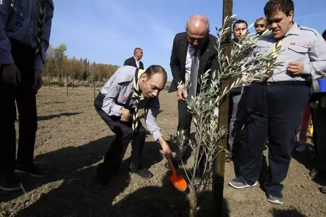 Atatürk için '1001' adet zeytin fidanı dikildi Atatürk için '1001' adet zeytin fidanı dikildi