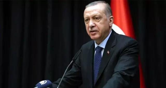 Cumhurbaşkanı Erdoğan: 11 Kasım'da 81 ilimizde 11 milyon fidanı toprakla buluşturacağız