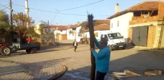 Manisa Su Ve Kanalizasyon İdaresi: Kanalizasyon hattından 10 metrelik ağaç kökü çıkarıldı Manisa Su Ve Kanalizasyon İdaresi: Kanalizasyon hattından 10 metrelik ağaç kökü çıkarıldı