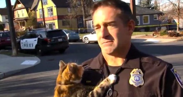Polis memurunun üzerine atlayan kedi sosyal medyada yoğun ilgi gördü