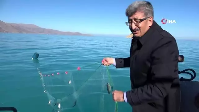 Vali Bilmez 'Vira bismillah' dedi, denizden ağ çekti Vali Bilmez 'Vira bismillah' dedi, denizden ağ çekti
