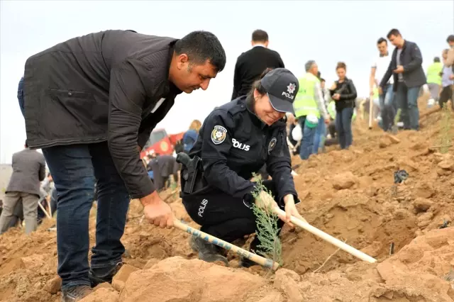 '11 Milyon Ağaç; Bugün Fidan, Yarın Nefes' programı '11 Milyon Ağaç; Bugün Fidan, Yarın Nefes' programı