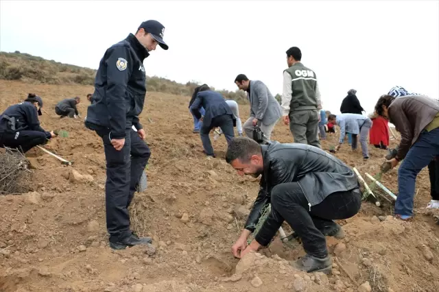 '11 Milyon Ağaç; Bugün Fidan, Yarın Nefes' programı '11 Milyon Ağaç; Bugün Fidan, Yarın Nefes' programı