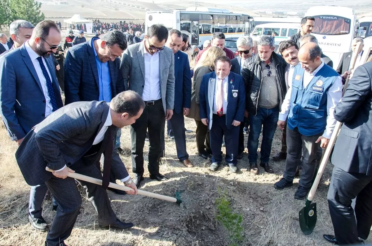 '11 Milyon Ağaç; Bugün Fidan, Yarın Nefes' Programı